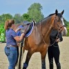 Eugénie Cottereau - Saddle Fitter