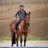 Eugénie Cottereau - Saddle Fitter