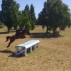 jg-horse-training - Cavalier professionnel