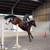 jg-horse-training - Cavalier professionnel