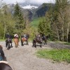 ferme-equestre-le-bochet - Gite