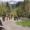 ferme-equestre-le-bochet - Gite