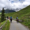 ferme-equestre-le-bochet - Gite