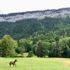 centre-equestre-des-bauges - Gite d'etape