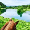 centre-equestre-des-bauges - Gite d'etape