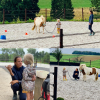 Equi et moi - equi-coaching