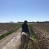 L'Arbre Cheval - Stages poney - Gérompont