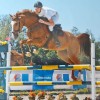 speltens-pierre-manuel  Moniteur d equitation