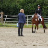 cheval-gruyeres - Stage equitation en Suisse