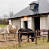 la-ferme-de-la-colline