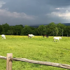 la-ferme-de-la-colline