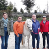 La Ferme de la Colline - equicoaching