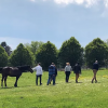 La Ferme de la Colline - equicoaching