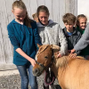 La ferme de la Colline