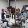   Via Nova Equine – Paarden Kliniek 