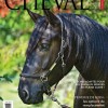 cheval-quebec-magazine