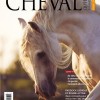 cheval-quebec-magazine