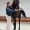 gielen-isabelle magnetiseur equin