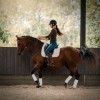 equi-mam  - Comportementaliste equin