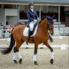 Cavaliere professionnelle - Joly  Audrey