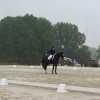 Cavaliere professionnelle - Joly  Audrey