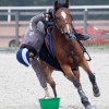 Poney club de Buisseret asbl - Pony Games