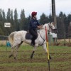 Poney club de Buisseret asbl - Pony Games