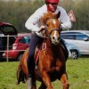 Poney club de Buisseret asbl - Pony Games