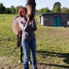 Auré Ki - soin shiatsu et reiki pour le cheval et son cavalier