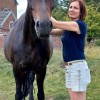 Auré Ki - soin shiatsu et reiki pour le cheval et son cavalier