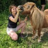 Auré Ki - soin shiatsu et reiki pour le cheval et son cavalier