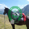 Scouts a cheval 19 ème Unité Rangers