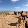 randonnées equestres en Nouvel aquitaine