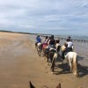 randonnées equestres en Nouvel aquitaine