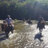 gite-equestre-la-cle-des-bois