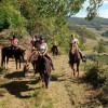 gite-equestre-la-cle-des-bois