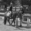 Poney club de Buisseret asbl