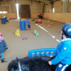 poney-club-des-cattys