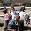 La Petite Ferme de Trazegnies asbl