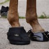 Hoof Wear specialiste du sabot de cheval -  