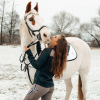 kingsland equestrian