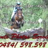 Events Photo services  - Equihorse annuaire equestre