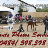 Events Photo services  - Equihorse annuaire equestre