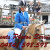 Events Photo services  - Equihorse annuaire equestre