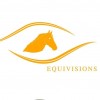 Equivisions