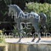 Haras de Marancourt