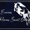 Les écuries du Haras Saint-Georges Les écuries du Haras Saint-Georges