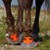 Hoofwear.com