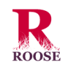 Roose nv