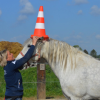 Ranch de Gégé - Equi coaching